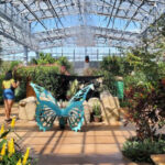 This Magical Butterfly Garden in Arizona Feels Like Something Out of a Fairy Tale