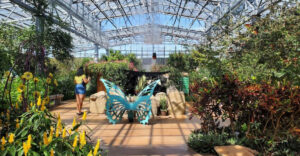 This Magical Butterfly Garden in Arizona Feels Like Something Out of a Fairy Tale