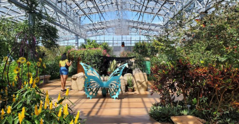 This Magical Butterfly Garden in Arizona Feels Like Something Out of a Fairy Tale