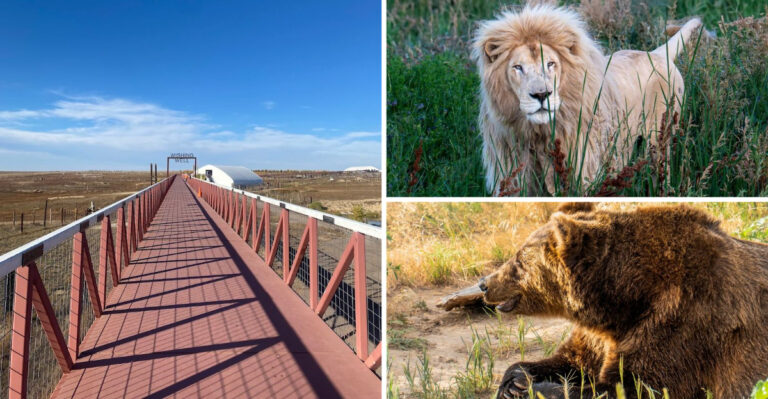 This Massive Colorado Wildlife Sanctuary Will Make You Feel Like You’re on the African Savannah
