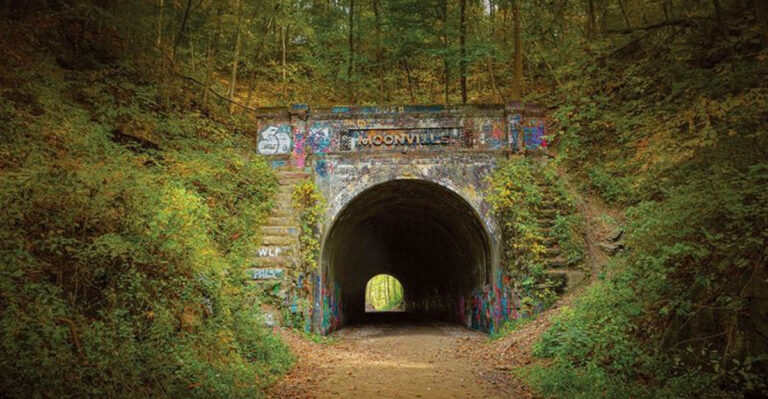 This Mysterious Tunnel In Ohio Will Make You Feel Like You’ve Entered The Twilight Zone
