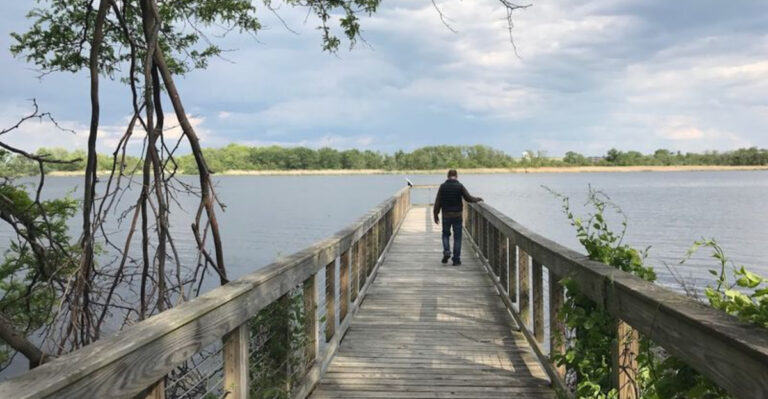 This New Jersey Nature Park Has a Marsh Boardwalk Where Eagles Rule the Sky