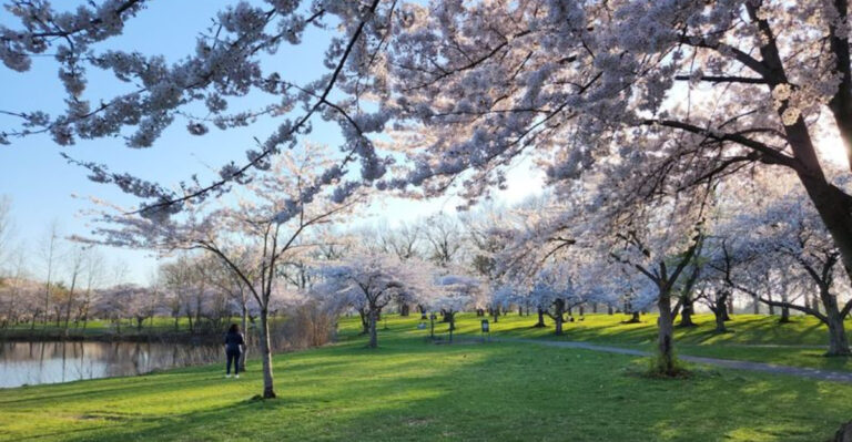 This New Jersey Park Is Too Beautiful to Stay Under the Radar