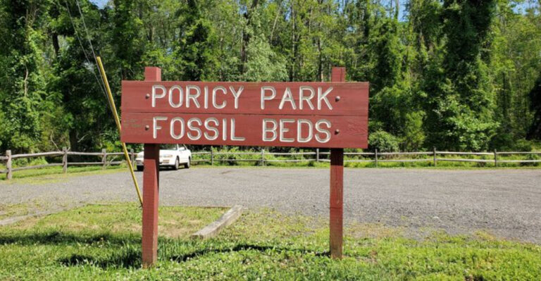 This New Jersey Park Lets You Dig For 72-Million-Year-Old Fossils