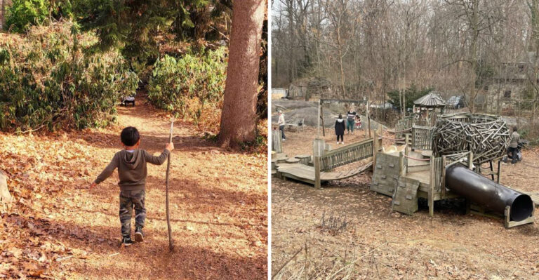 This New York Nature Playground Trades Plastic Playsets for Forest Trails, Wooden Wonders, and Wild Discovery