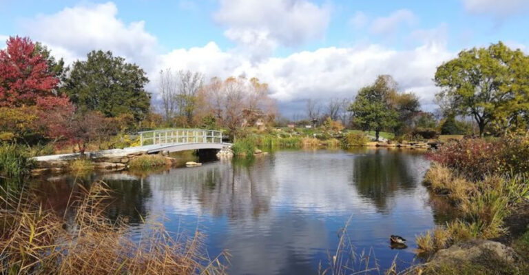 This Ohio Arboretum Has A 65-Foot Tower With Absolutely Amazing Views