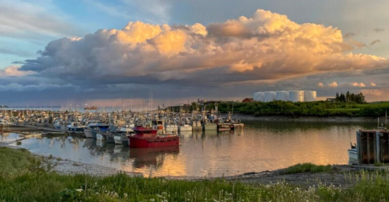 This Remote Town in Alaska Offers Wild Beauty, Salmon Runs, and True Off-the-Grid Charm