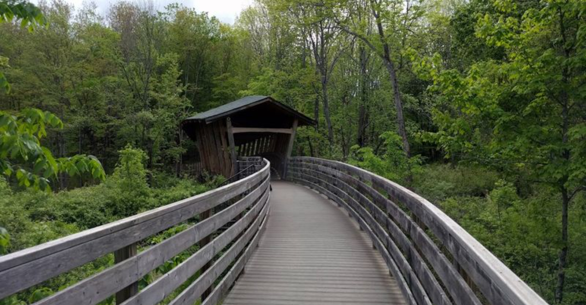 This Scenic Maine Trail Features a Boardwalk and a Spiral Staircase You Won’t Forget