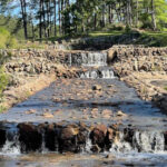 This Scenic Texas Trail Leads To A Crystal-Clear Lake Beneath Towering Pines