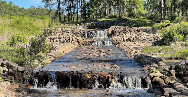 This Scenic Texas Trail Leads To A Crystal-Clear Lake Beneath Towering Pines