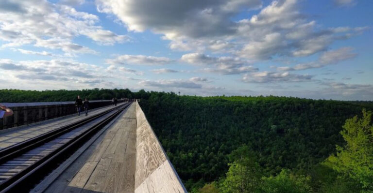 This Skywalk in Pennsylvania Offers a Stroll Above a Forest Canyon