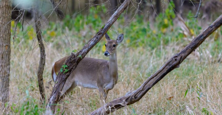 This Small-Town Texas State Park Completely Stole Our Hearts