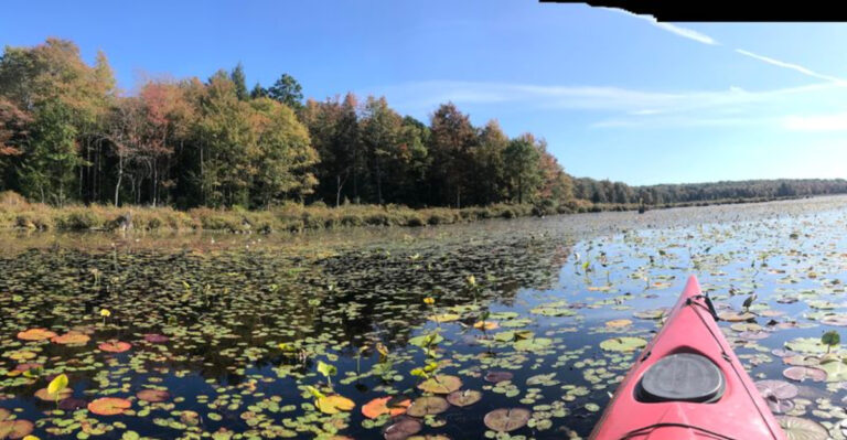 This State Park In Pennsylvania Feels Wild And Untouched With Trails Through Forest And Marsh