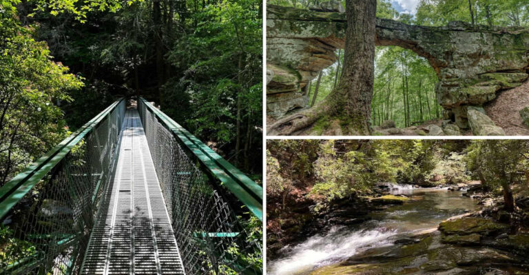 This Tennessee State Park Has One of the Most Legendary Hiking Trails in the Southeast