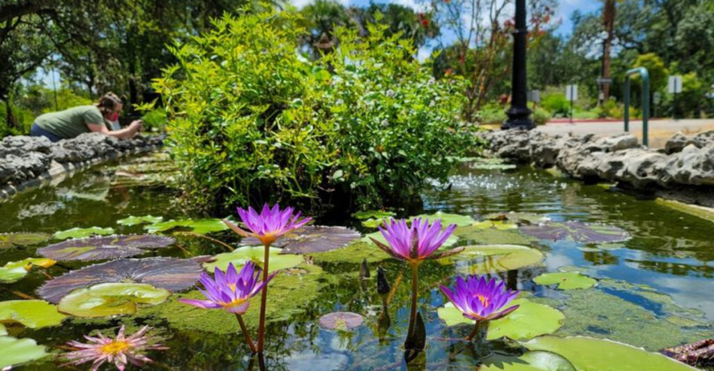 This Texas Botanical Garden Has One of the Best $5 Deals for Seniors