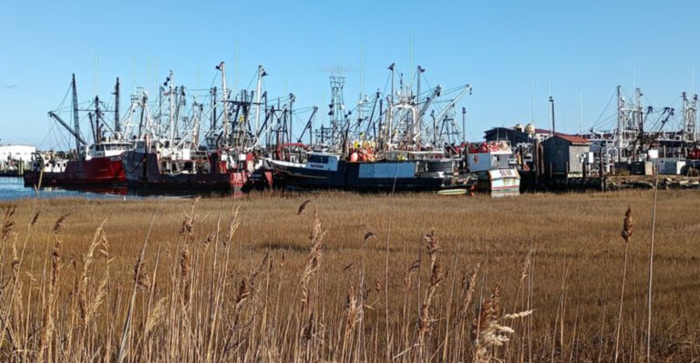 This Tiny New Jersey Fishing Town Is Like a Hidden Coastal Paradise