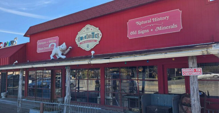 This Underrated Texas Vintage Store Is Packed With Hard-To-Find Collectibles