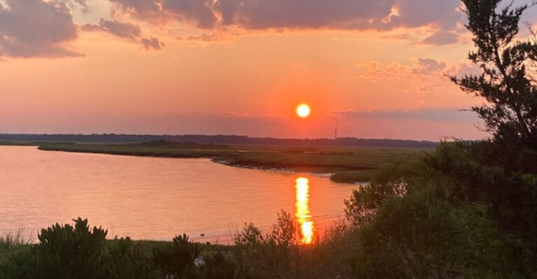 This Wild New Jersey Beach Park Feels Miles Away From the Crowds