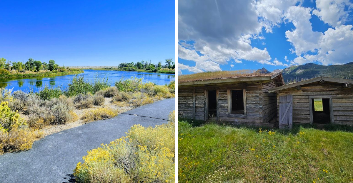 Trade Screens for Stars at These 10 Wyoming Camping Destinations