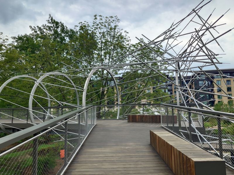 A Canopy-Level Entrance That Resets the Whole Park