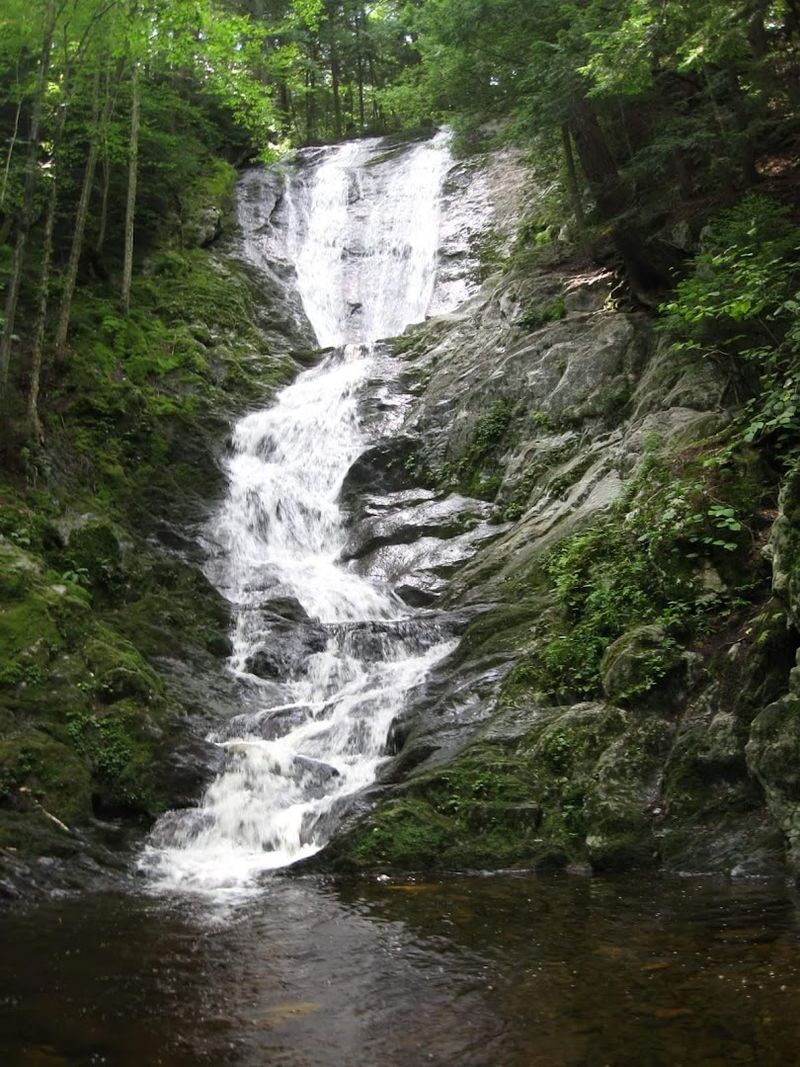 Savoy Mountain State Forest (Savoy)