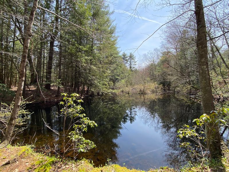 Capen Hill Nature Sanctuary (Charlton)