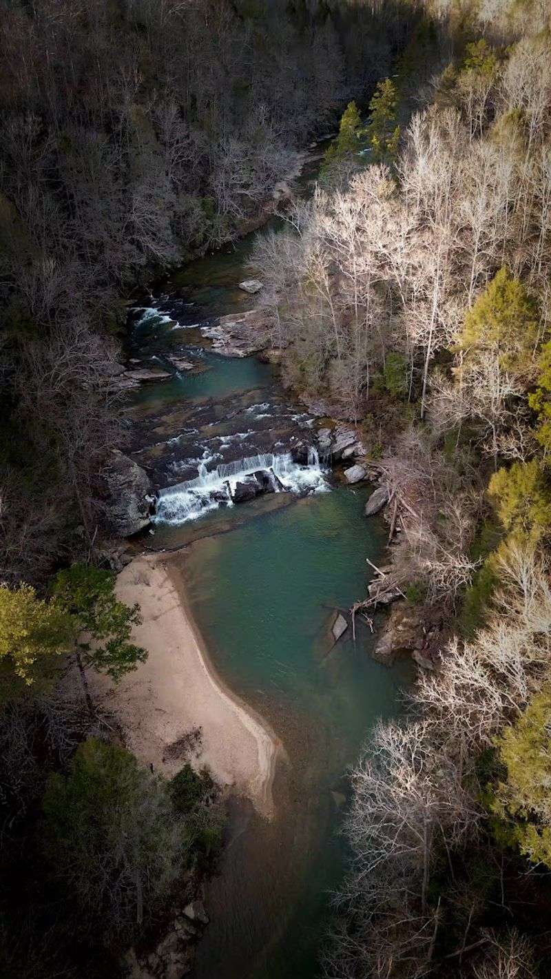 A Trail That Stays Friendly Until the Climb Back