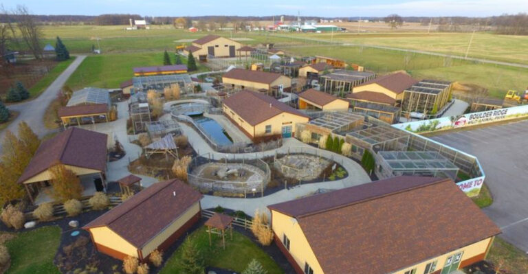 What Started As A Michigan Hobby Farm Is Now A 100-Acre Wildlife Park With 1,500 Animals