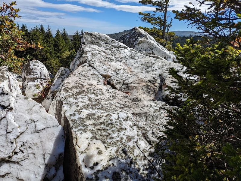 Shining Rock Wilderness via Art Loeb Trail (Pisgah National Forest)
