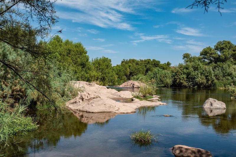 Paddles, Put-Ins, and the River’s Social Energy Paddles, Put-Ins, and the River’s Social Energy