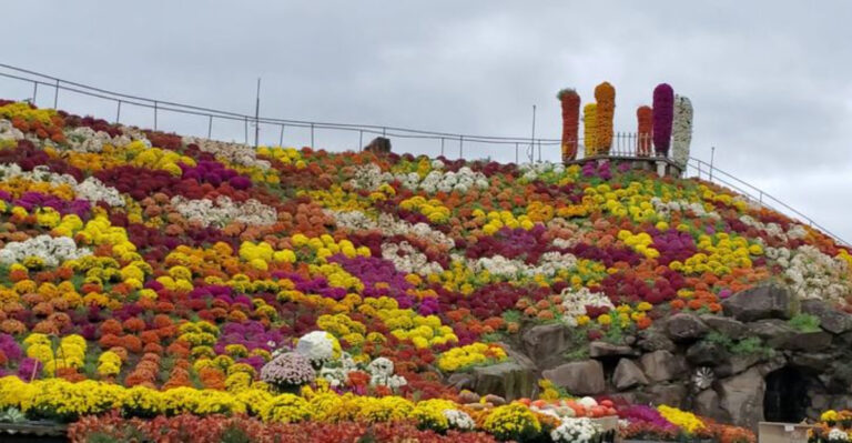 You Can Climb a 40-Foot Mountain Wrapped in Flowers at This Pennsylvania Garden Center