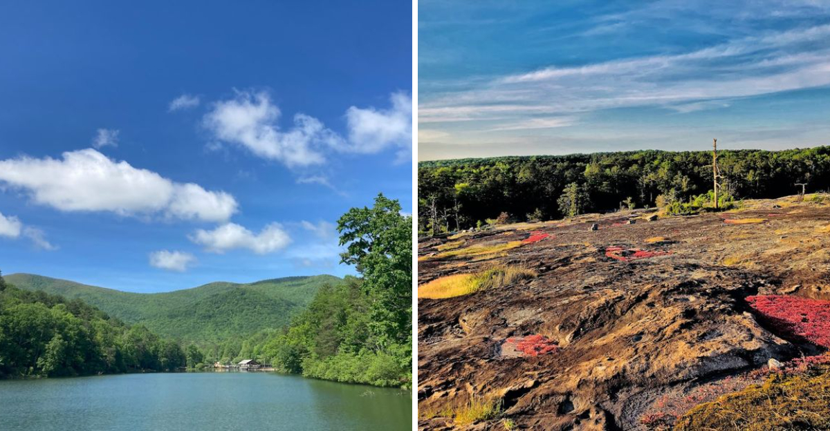 You Don’t Need Hiking Experience to Enjoy These 7 Beautiful Georgia Trails
