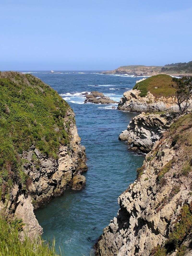 Bird Island Trail