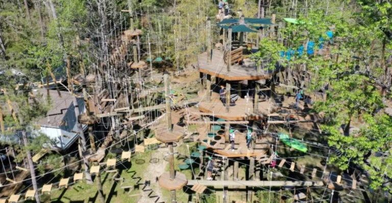 Your Whole Family Will Go Wild For This Massive Treetop Obstacle Course In Texas