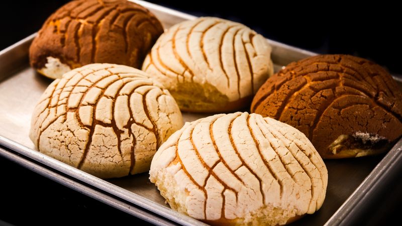 The Conchas That Earn the Mileage The Conchas That Earn the Mileage