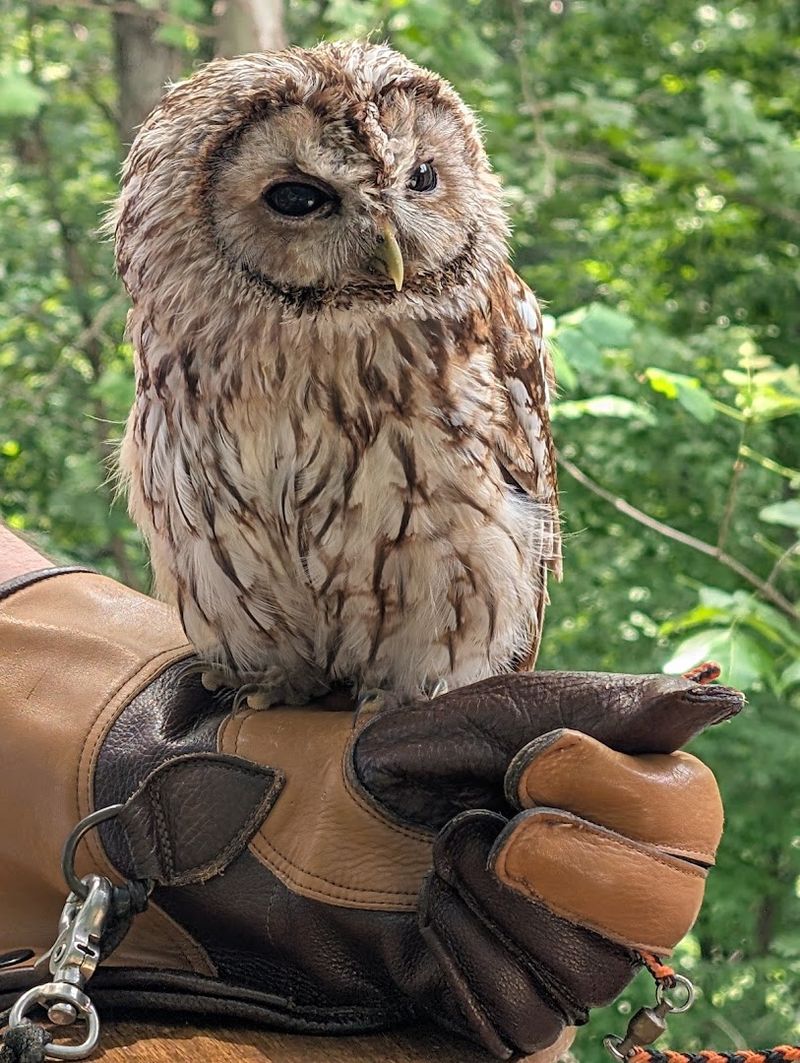 Avian Avenue Delivers the Close-Up Most Zoos Never Quite Match Avian Avenue Delivers the Close-Up Most Zoos Never Quite Match
