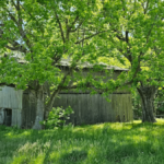 10 Scenic Tennessee Gems to Discover on the Natchez Trace Parkway