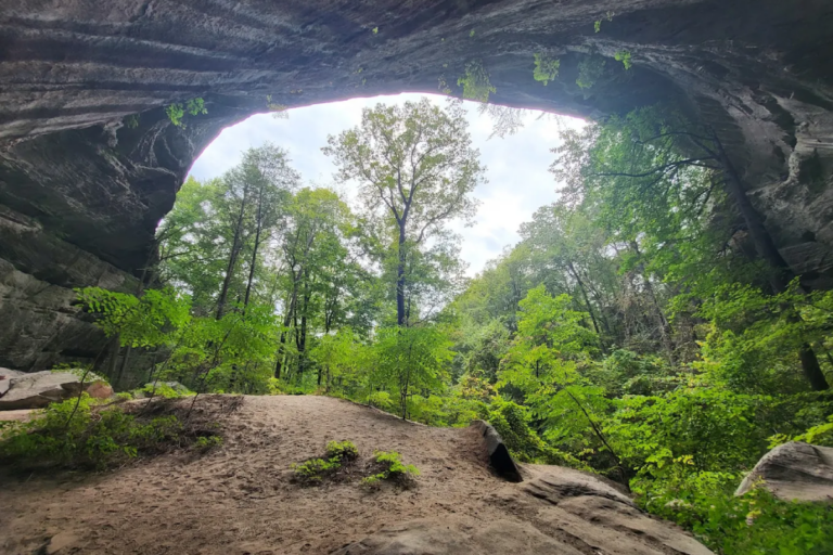 10 Scenic Tennessee Hiking Trails That Are Perfect for First-Timers