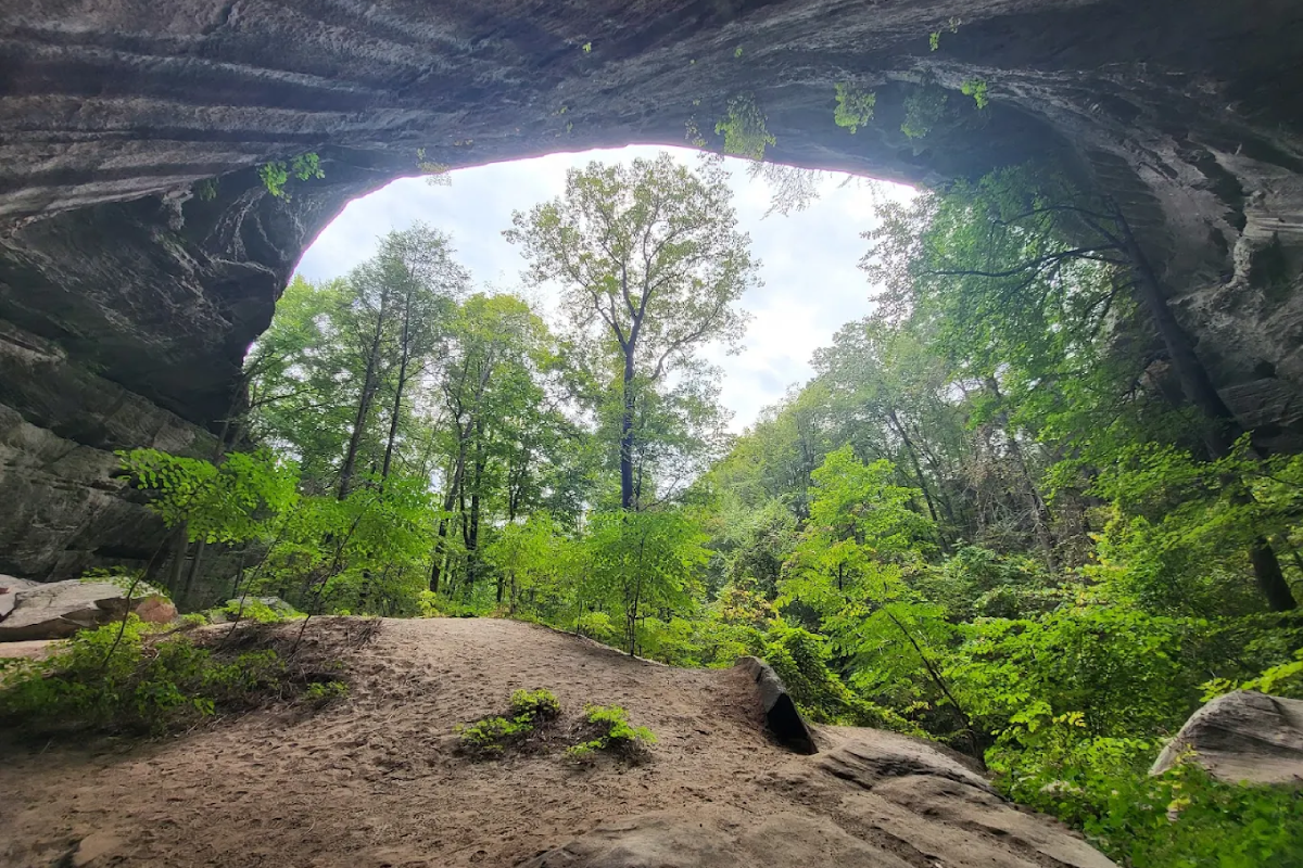 10 Scenic Tennessee Hiking Trails That Are Perfect for First-Timers