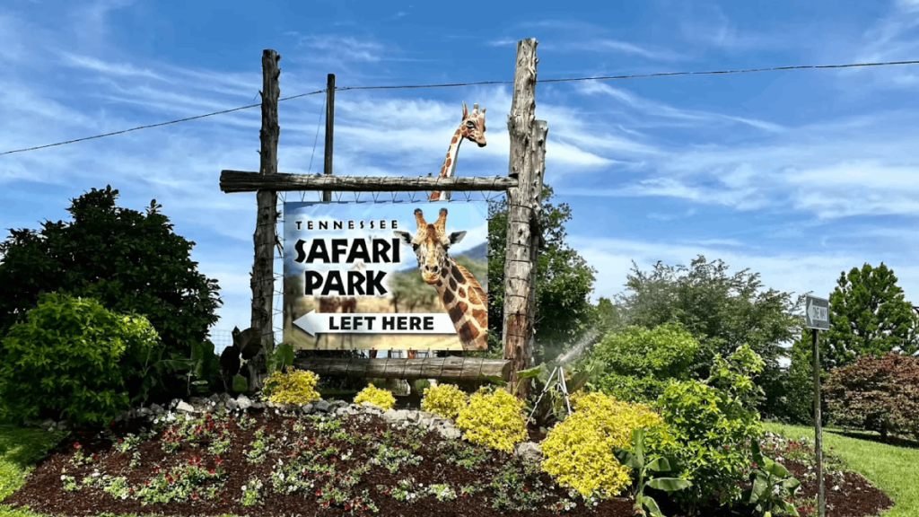 10 Tennessee Animal Encounters That Let You Meet Otters, Goats, And Giraffes Up Close