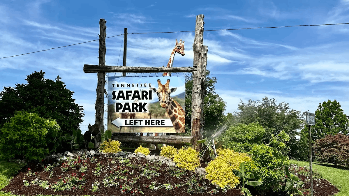 10 Tennessee Animal Encounters That Let You Meet Otters, Goats, And Giraffes Up Close