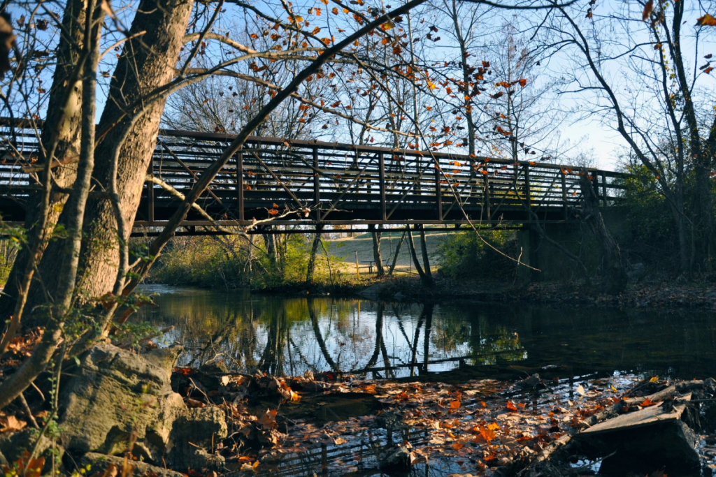 10 Tennessee Bike Trails With Mountain Scenery, Greenways, And Stops Worth Pausing For