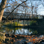 10 Tennessee Bike Trails With Mountain Scenery, Greenways, And Stops Worth Pausing For