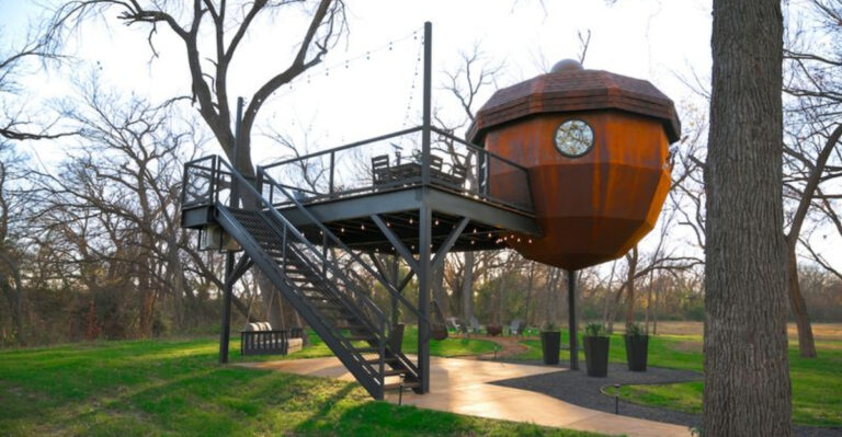 10 Dreamy Treehouse Rentals in Texas for a One-of-a-Kind Getaway