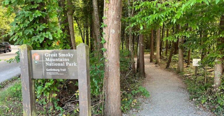 10 Easy Tennessee Mountain Hikes That Are Perfect For Families With Kids