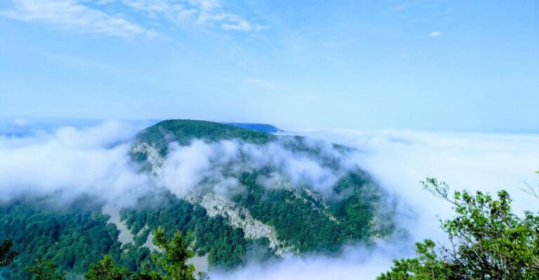 10 Otherworldly Natural Places In New Jersey You Have To See To Believe