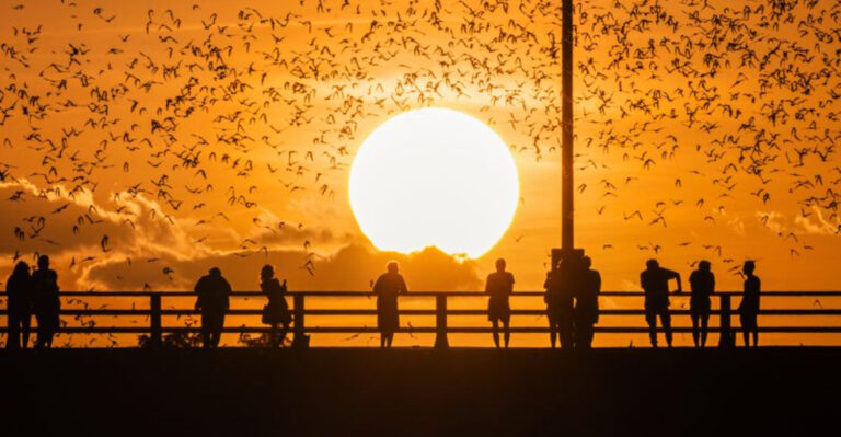 10 Texas Adventures Under $20 That Feel Absolutely Priceless