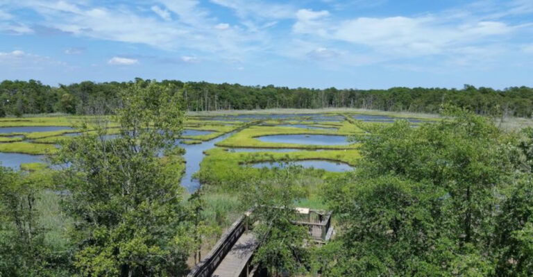 10 Weird, Wonderful, and Overlooked Things To Do in New Jersey