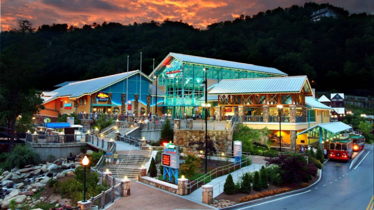 11 Tennessee Attractions That’ll Make You Feel Like a Kid Again