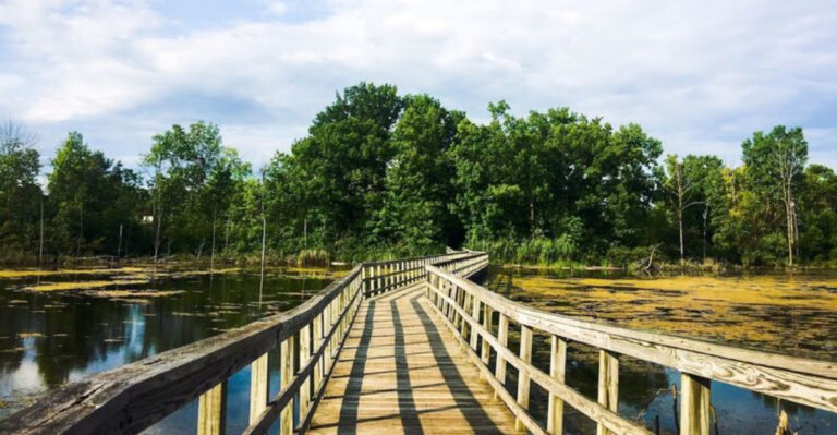 11 Easy Amtrak Getaways In Michigan Where The Journey Is Half The Fun